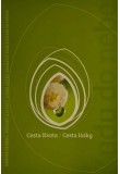 Kudy do nebe - Cesta života / Cesta lásky