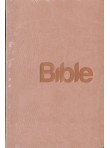 Bible 21, překlad 21. století (šedá)