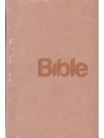 Bible 21, překlad 21. století (šedá)