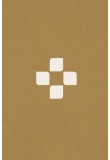 Bible 21+ (s DT)