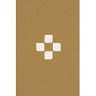 Bible 21+ (s DT)