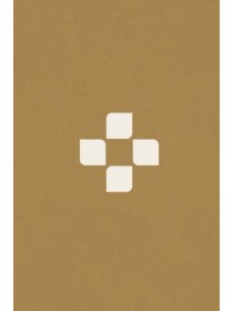 Bible 21+ (s DT)