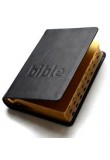 Bible - Český studijní překlad, kůže, zlatá ořízka, pouzdro