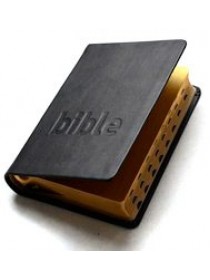 Bible - Český studijní překlad, kůže, zlatá ořízka, pouzdro