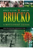 Bručko a motilonský zázrak
