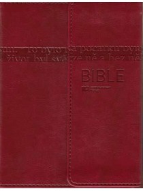 Bible ČEP DT malá, magnet