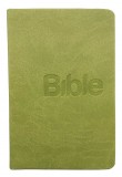 Bible 21, překlad 21. století, kapesní (zelená)