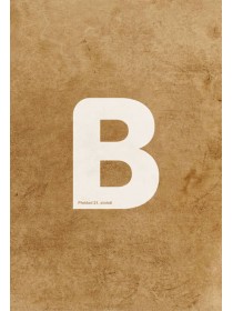 Bible 21 XL, překlad 21. století (2021)