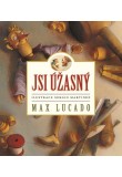 Jsi úžasný