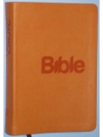 Bible 21 - obálka Orange - oranžová