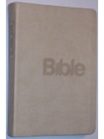 Bible 21 - obálka Grey - šedomodrá