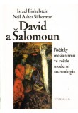 David a Šalomoun